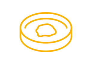 drawing of a fresh tissue sample in a petri dish, yellow